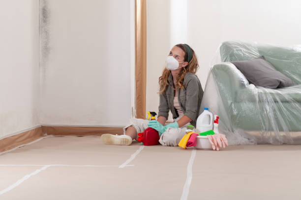 Reliable Mold Remediation contractor in McLean, TX by Cheap Mold Removal